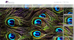 Desktop Screenshot of jaimeedesigns.com